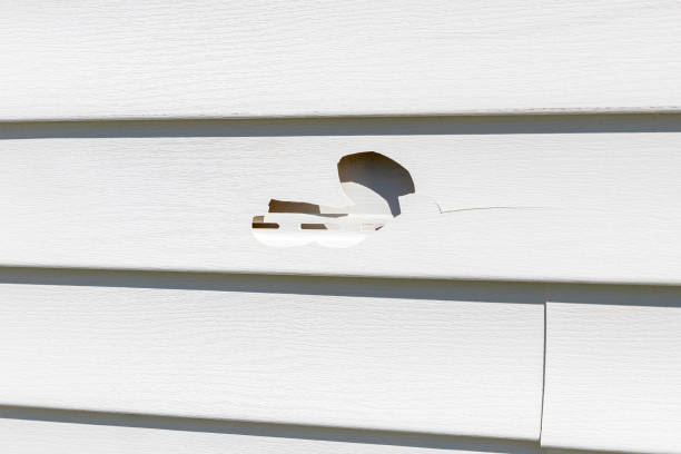 Reliable Lexington, VA Siding Installation & Repair Solutions